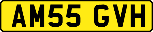 AM55GVH