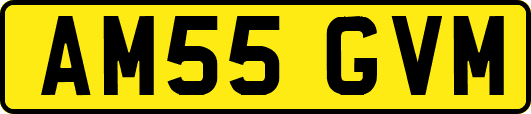 AM55GVM