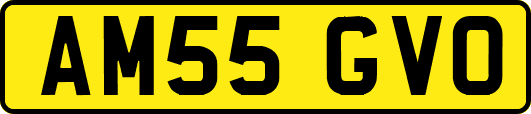 AM55GVO