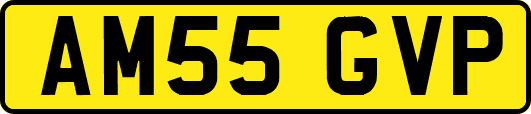 AM55GVP