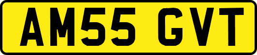 AM55GVT
