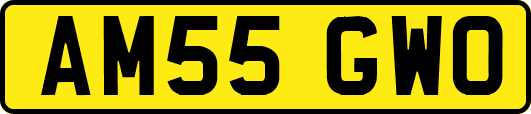 AM55GWO