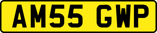 AM55GWP