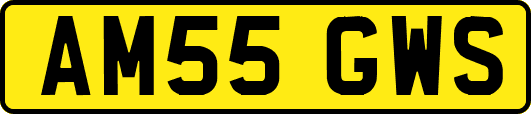 AM55GWS