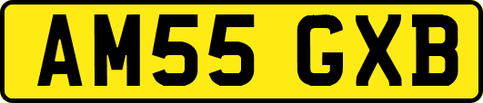 AM55GXB