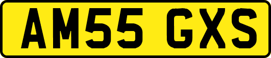 AM55GXS