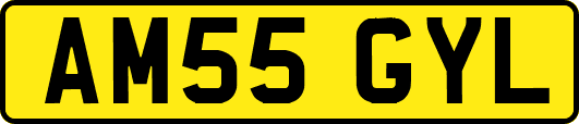 AM55GYL