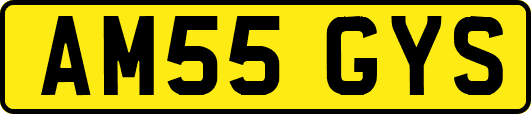 AM55GYS