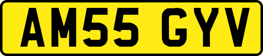 AM55GYV
