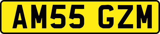 AM55GZM