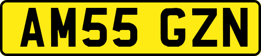 AM55GZN