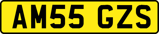 AM55GZS