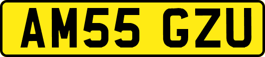 AM55GZU