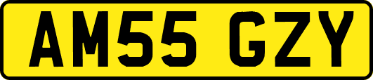 AM55GZY