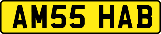 AM55HAB