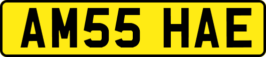 AM55HAE