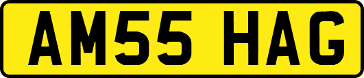 AM55HAG