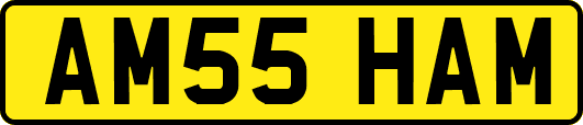 AM55HAM