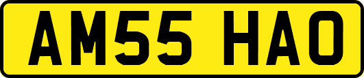 AM55HAO