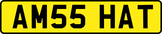 AM55HAT