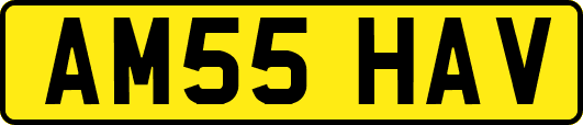 AM55HAV