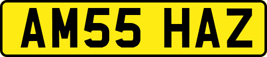 AM55HAZ