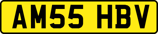 AM55HBV