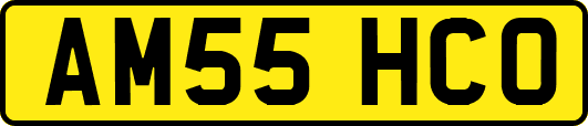 AM55HCO