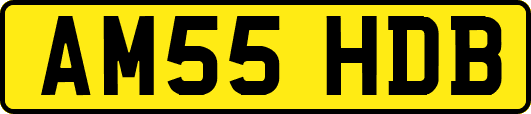 AM55HDB