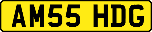 AM55HDG