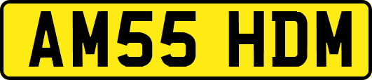 AM55HDM