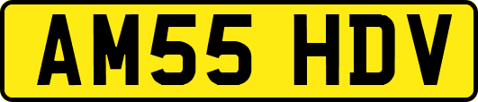 AM55HDV