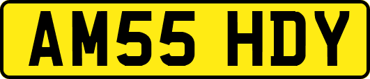 AM55HDY