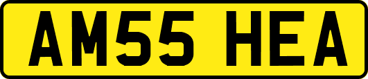 AM55HEA