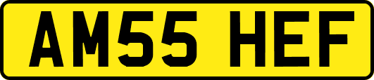 AM55HEF