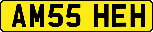 AM55HEH