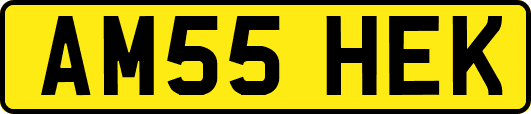 AM55HEK