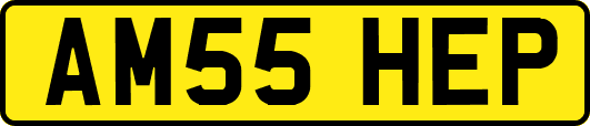 AM55HEP