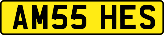 AM55HES
