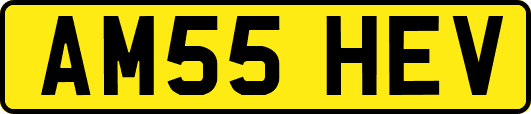 AM55HEV