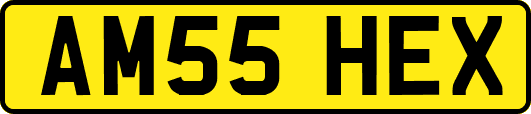AM55HEX