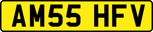 AM55HFV