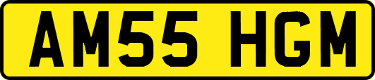 AM55HGM