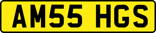 AM55HGS