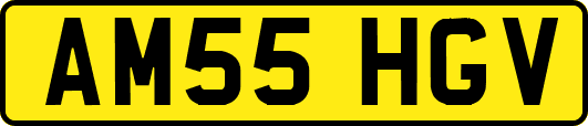 AM55HGV