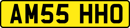 AM55HHO