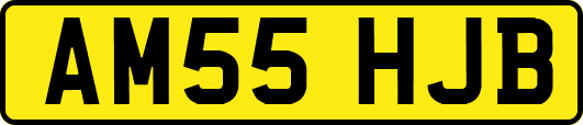 AM55HJB