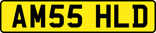 AM55HLD