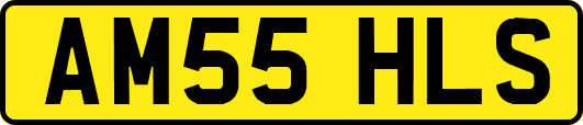 AM55HLS