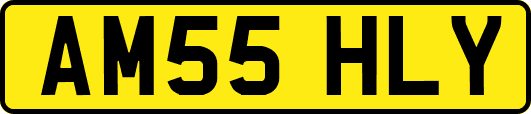 AM55HLY